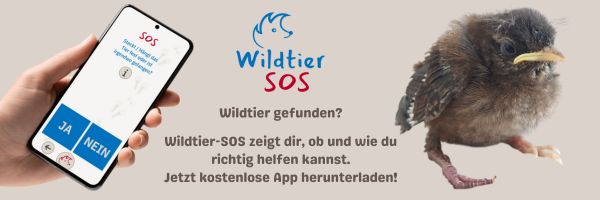 Homepage-Banner-Wildtier-SOS